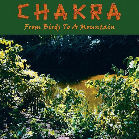 Chakra From Birds To A Mountain 12 Vinyl E P